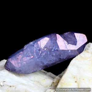 Tanzine Aura Himalayan Quartz Record Keeper Starbrary Crystal