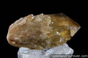 Natural Citrine Lightbrary Kundalini Quartz Channeling Crystal