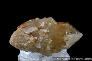 Natural Citrine Lightbrary Kundalini Quartz Channeling Crystal