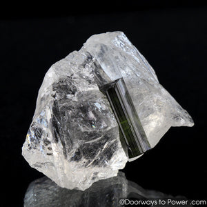 Green Tourmaline in Quartz Crystal 'Perfection' A +++