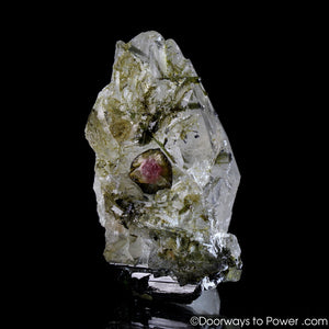Pink & Green Tourmaline in Quartz Crystal Point 'Steadfast Spirit' A +++