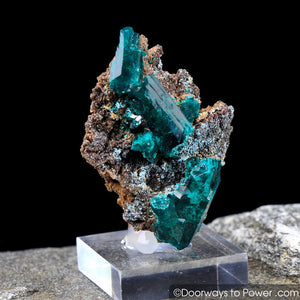 Amazing Dioptase Mineral Specimen Twin 'Museum Quality'