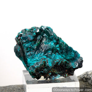 Beautiful Dioptase Mineral Specimen Kazakhstan A +++