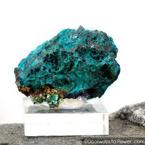 Beautiful Dioptase Mineral Specimen Kazakhstan A +++