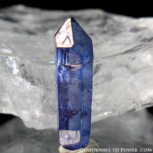 Tanzine Aura Himalayan Quartz Record Keeper Crystal - Rare