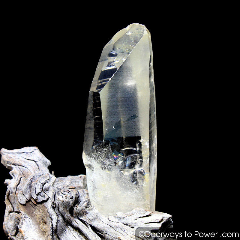 Golden Healer Lemurian Record Keeper Lightning Struck Crystal