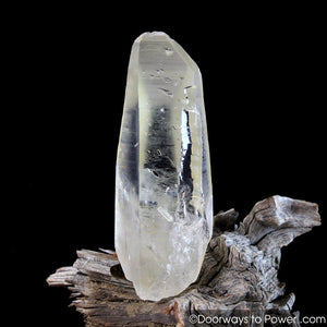 Golden Healer Lemurian Record Keeper Lightning Struck Crystal