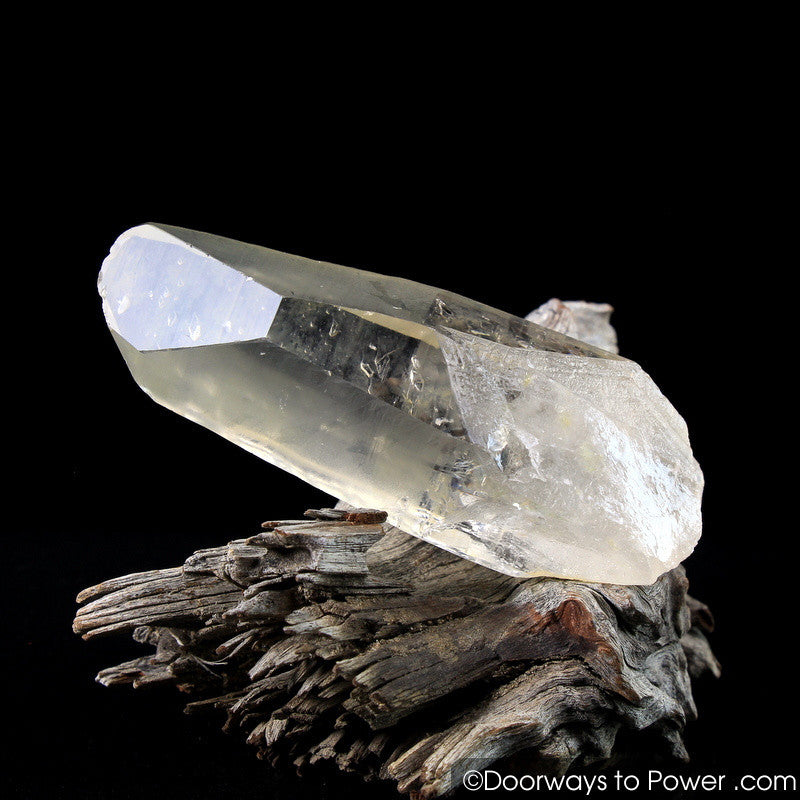 Golden Healer Lemurian Record Keeper Lightning Struck Crystal