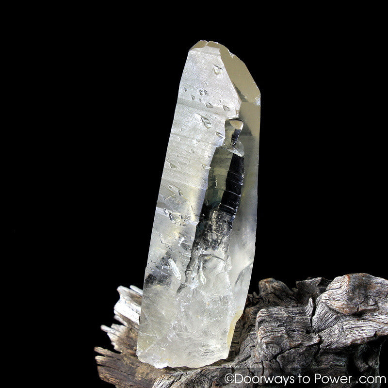 Golden Healer Lemurian Record Keeper Lightning Struck Crystal