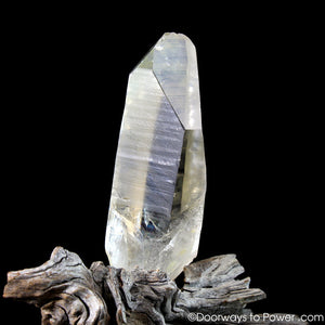 Golden Healer Lemurian Record Keeper Lightning Struck Crystal