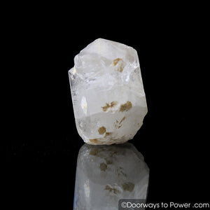 Burmese Phenacite Pleiadian Starbrary Crystal Synergy 12 Stone