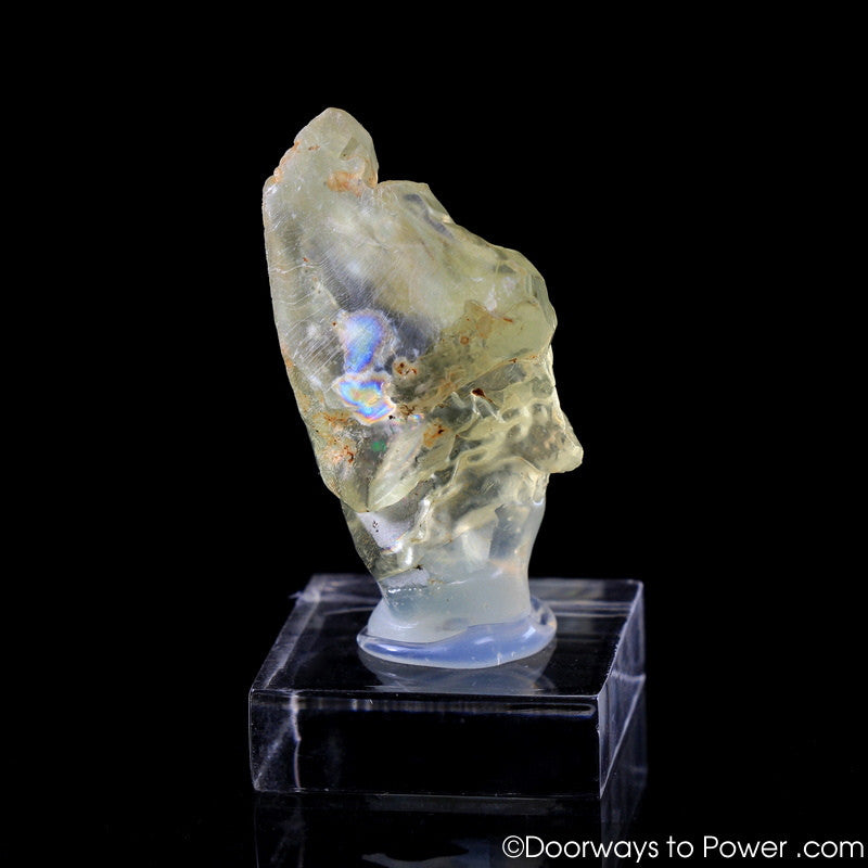 Royal Yellow SANIDINE Specimen Abundance Crystal RARE