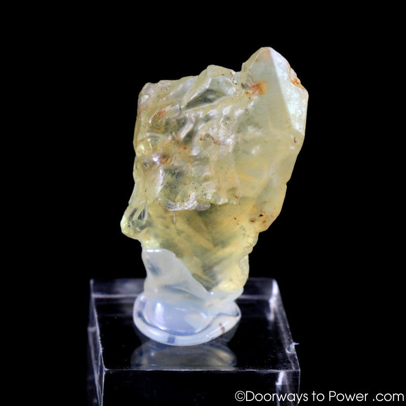 Royal Yellow SANIDINE Specimen Abundance Crystal RARE