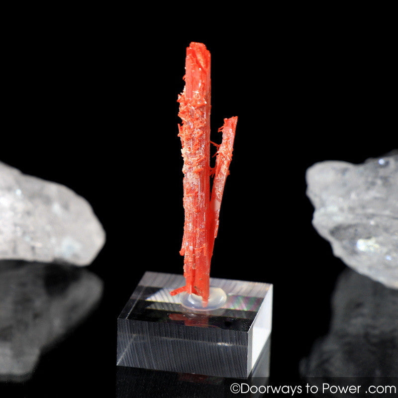 Amazing Crocoite Twin Crystal Specimen Tasmania A +++