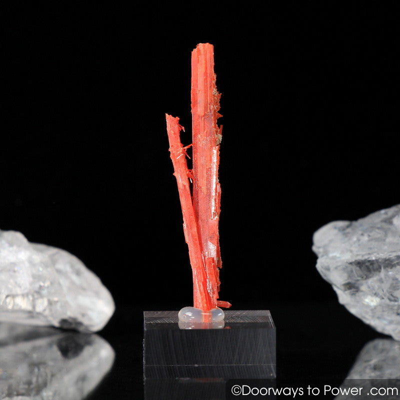 Amazing Crocoite Twin Crystal Specimen Tasmania A +++