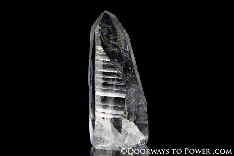 Lemurian Seed Manifestation Crystal w/  Pleiadian Starbrary Record Keeper Time Link