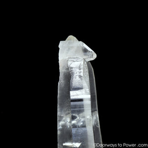 Diamantina Laser Wand Star Seed Quartz Pleiadian Starbrary Crystal 7.5"