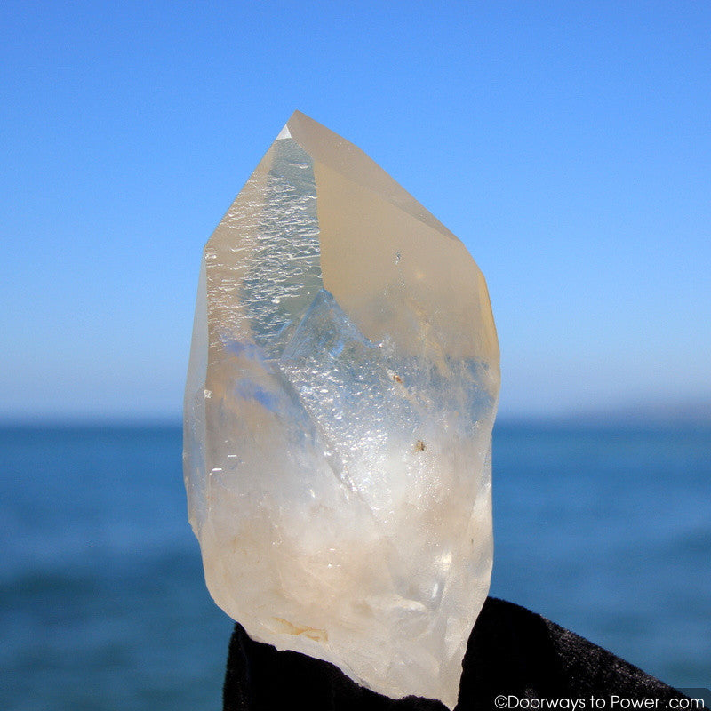 Lemurian Seed Quartz Crystal 'OLDER WORLDS' w/ Pleiadian Starbrary Channeling Time Link