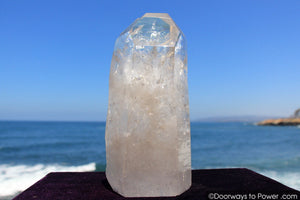 Rare 9.5" Lemurian Seed Tantric Twin Flame 'SACRED UNION' Pleiadian Starbrary Dow Crystal