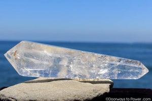 12" Double Terminated Lemurian Quartz 'Being of Light' Twin Dow Dolphin Crystal