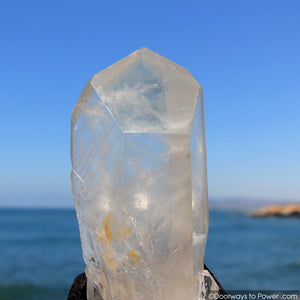 reserved for MT - XL 10.25" Lemurian Seed Quartz Pleiadian Starbrary Record Keeper Phantom Crystal Point