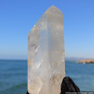 reserved for MT - XL 10.25" Lemurian Seed Quartz Pleiadian Starbrary Record Keeper Phantom Crystal Point