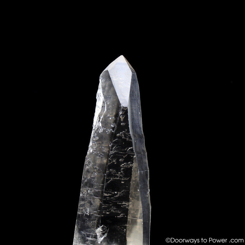 Golden Healer Lemurian Seed Quartz Master Record Keeper Crystal