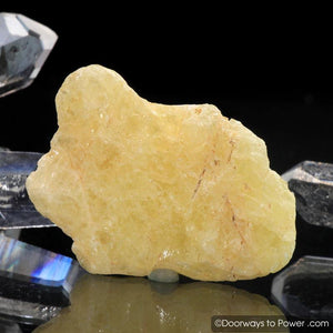 Agni Gold Danburite Synergy 12 Crystal