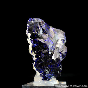 Royal Blue Azurite Heart Mineral Specimen Rosette Congo A +++ Museum Quality