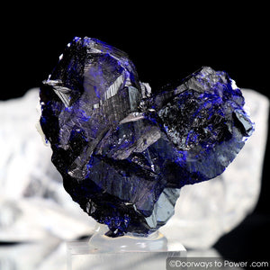 Royal Blue Azurite Heart Mineral Specimen Rosette Congo A +++ Museum Quality