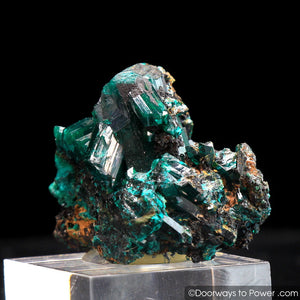 Dioptase Mineral Specimen A ++ 'Collectors Quality'