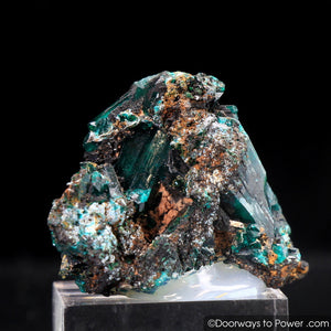 Dioptase Mineral Specimen A ++ 'Collectors Quality'