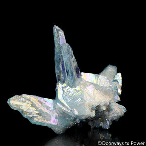 Aqua Aura Quartz Crystal Cluster 'Lifted By the Wings of Angels'