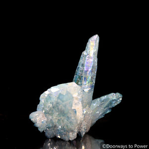 Aqua Aura Quartz Crystal Cluster 'Lifted By the Wings of Angels'