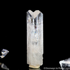 Danburite Synergy 12 Twin Crystal "A Higher Octave"