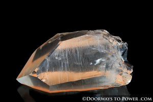 Tangerine Trigonic Quartz Lemurian Seed Record Keeper Crystal 'Very Rare'