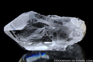 Himalayan Nirvana Quartz Crystal 'GALACTIC STARGATE' Starbary Record Keeper Rare