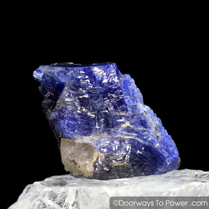 Tanzanite Record Keeper Crystal | Synergy 12 Stone 'Collector Quality'
