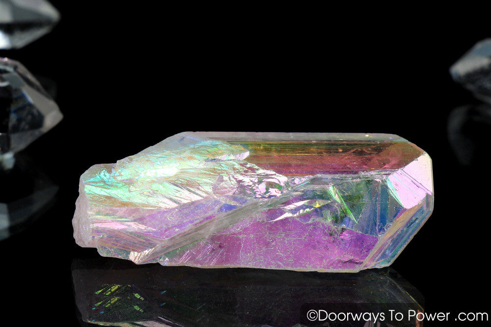 Angel Aura Danburite Drusy Crystal w/ Record Keeper Amazing A +++