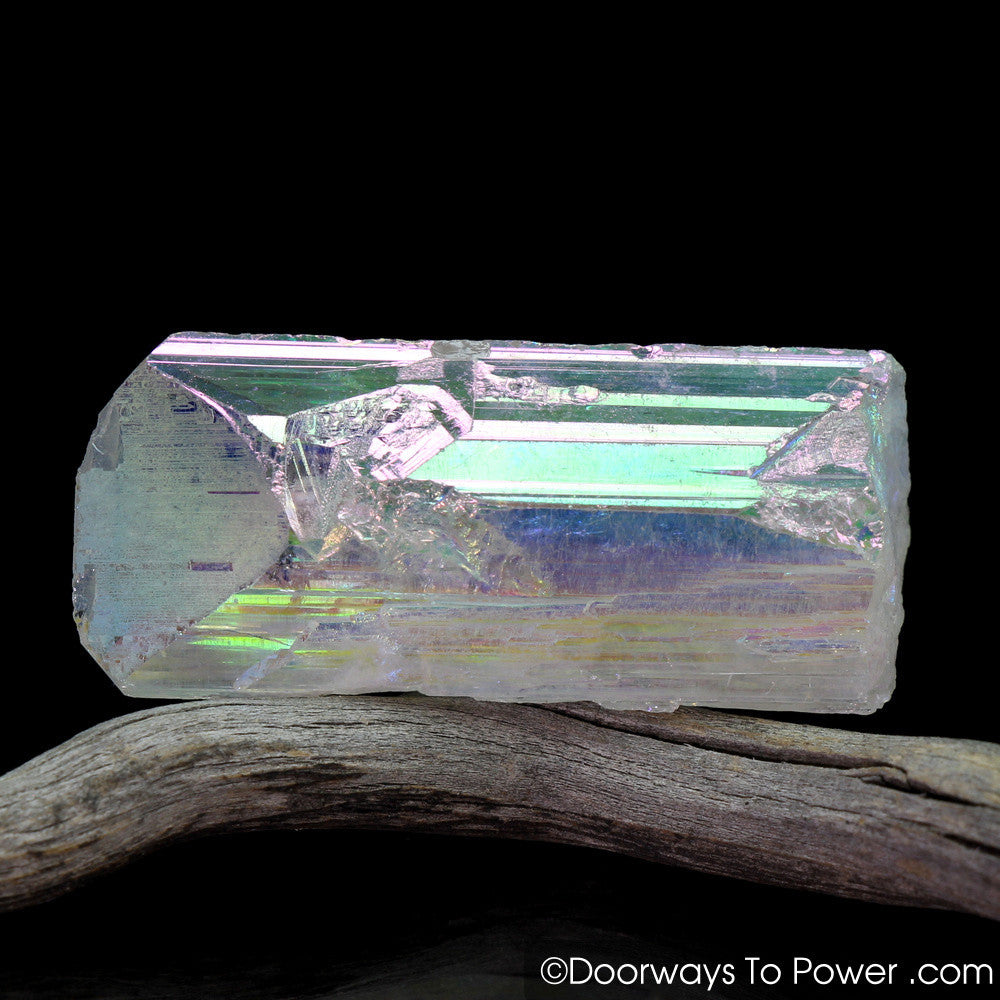 Angel Aura Danburite Synergy 12 Crystal w/ Pleiadian Starbrary