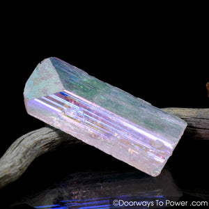 Angel Aura Danburite Synergy 12 Crystal w/ Pleiadian Starbrary