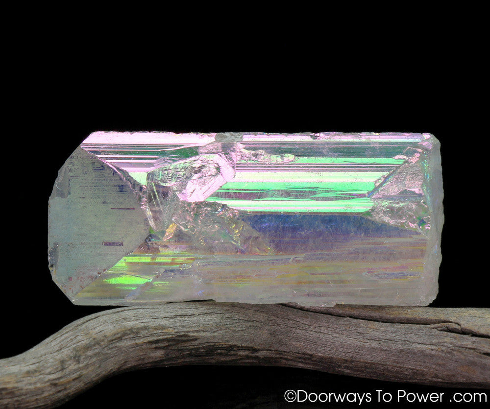 Angel Aura Danburite Synergy 12 Crystal w/ Pleiadian Starbrary