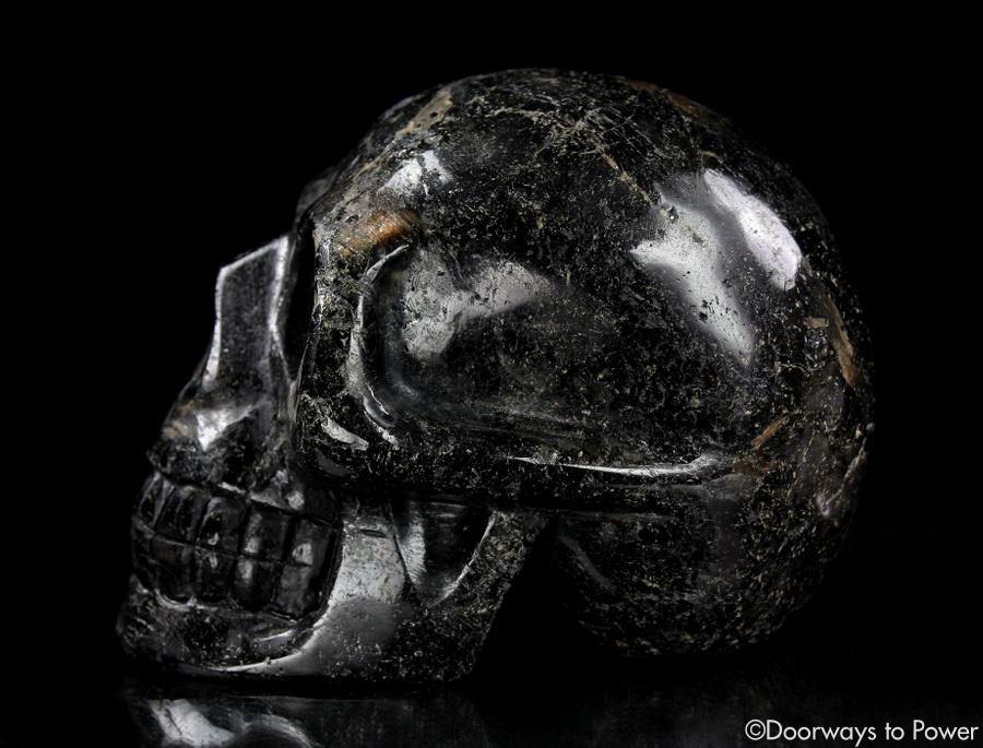 Ancient XL Nuummite Crystal Skull Rare 3 Billion Years Old