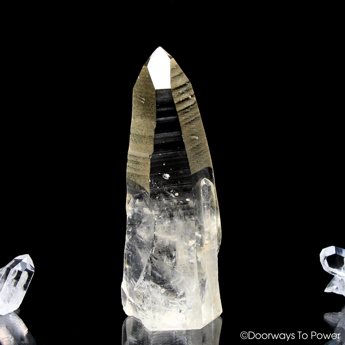 Golden Healer Lemurian Seed Pleiadian Starbrary Record Keeper Dolphin Crystal