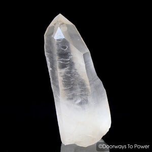 Lemurian Seed Quartz Record Keeper Crystal 