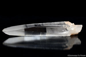 Lemruian Seed Quartz Laser Wand