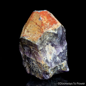 Auralite 23 Twin Crystal Altar Stone Red Hematite Tip & Sunken Record keeper (RARE)