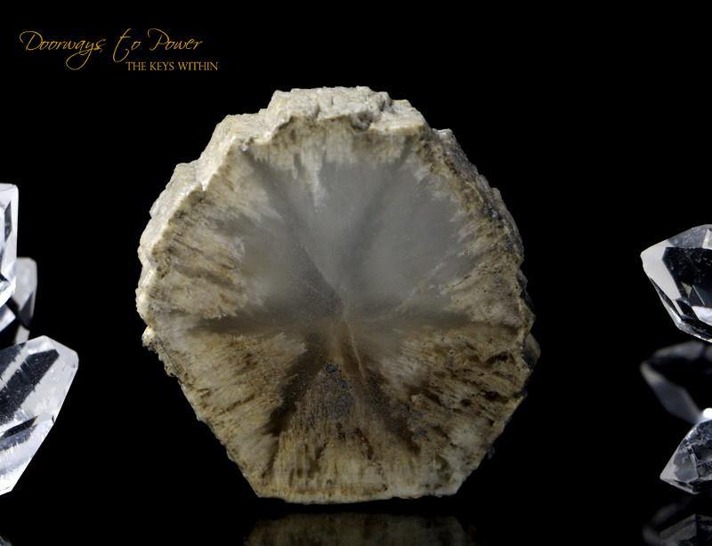 Doorways to Power Trapiche Quartz 