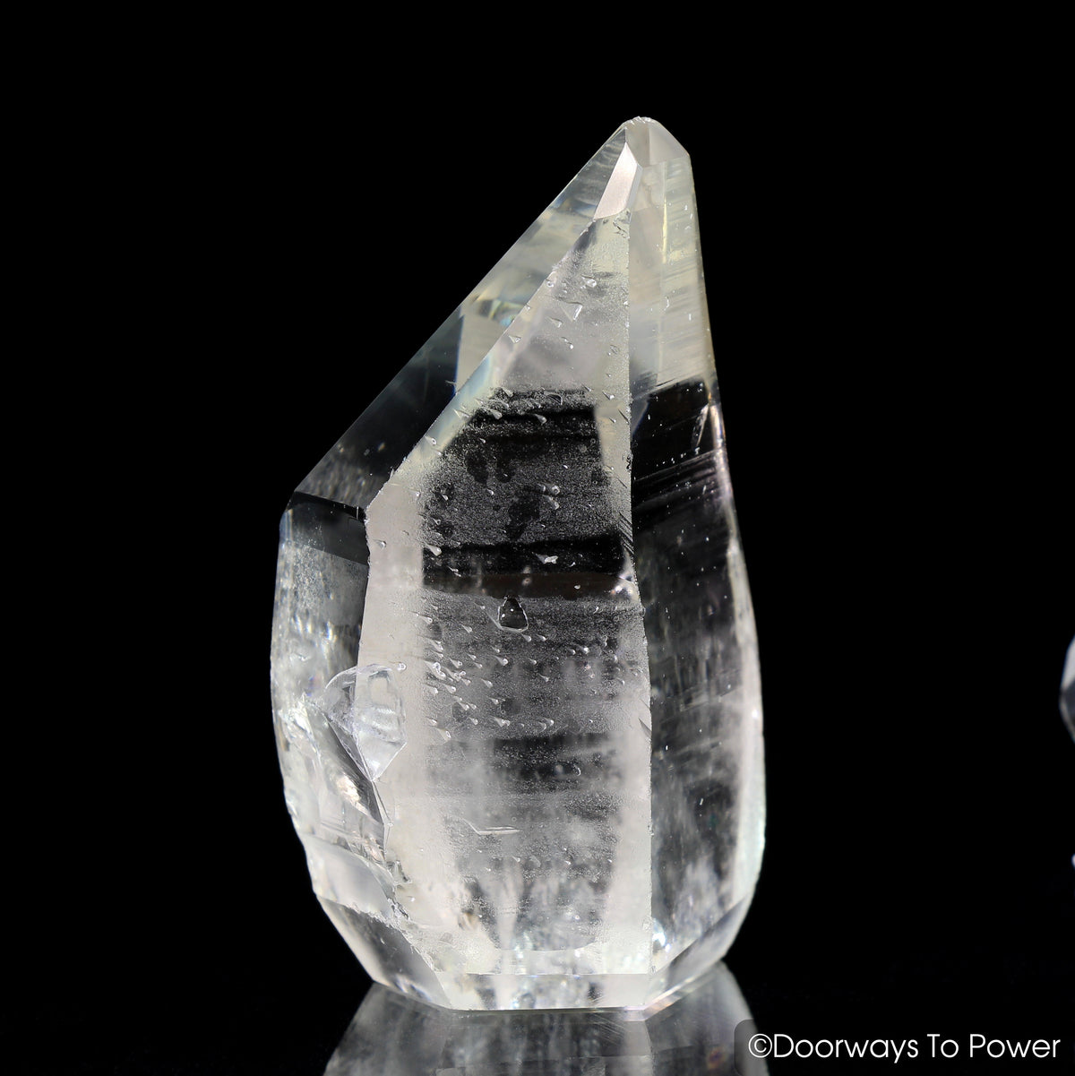 Lemurian Seed Pleiadian Starbrary Record Keeper Crystal 'Collectors Quality'