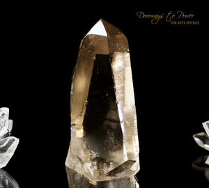 Golden Healer Lemurian Crystal